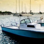 fishing grenadines fish 8 150x150 Fishing tours