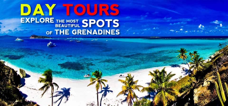 Kite & Surf Tours