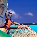 union  island grenadines 18 150x150 Photo gallery