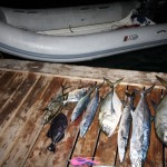 union  island grenadines 3 150x150 Photo gallery