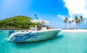 caribbean kite cruise