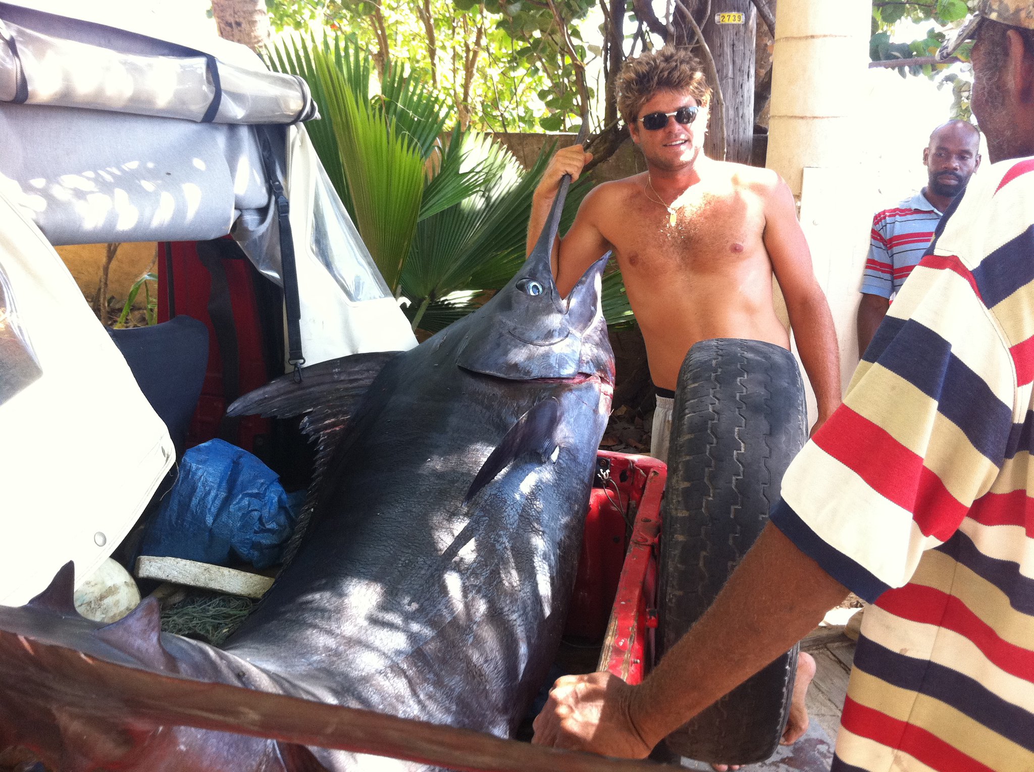 And one more Marlin for Sebastien