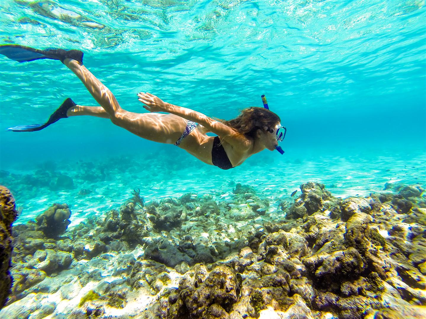 Diving in the Grenadines