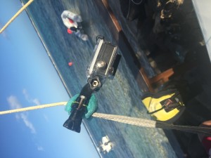 IMG_3676 (Large)