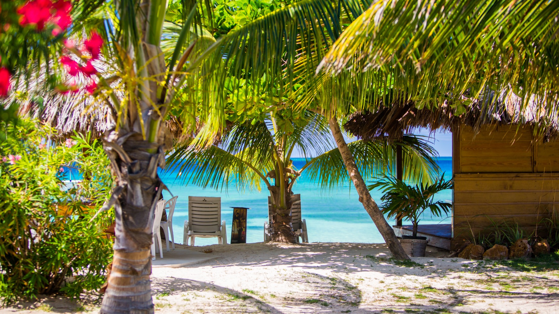 Island beach and palms in the Grenadines