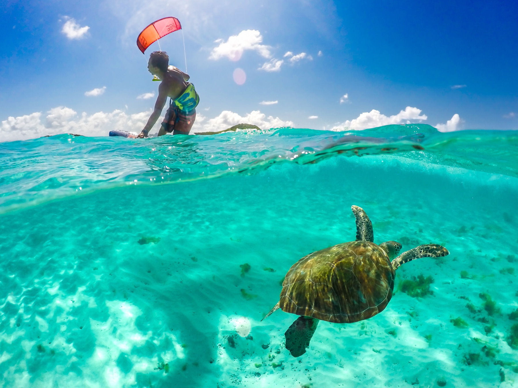 Kitesurfer and turtle in clear Tobago Cays water during a Grenadines kite cruise